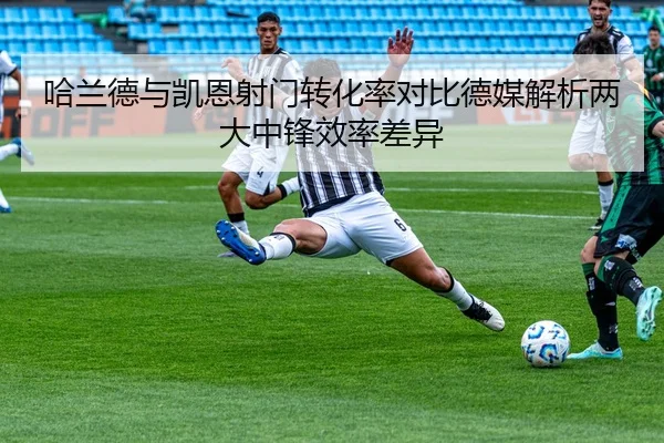 img_1783241483452_439_1_316.jpg